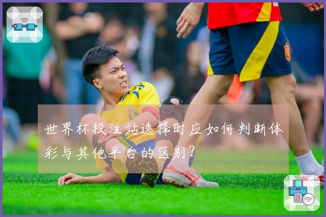 世界杯投注站选择时应如何判断体彩与其他平台的区别？