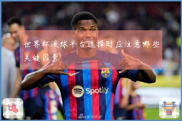 世界杯滚球平台选择时应注意哪些关键因素