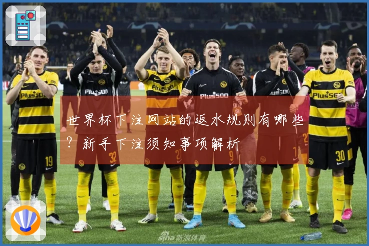 世界杯下注网站的返水规则有哪些？新手下注须知事项解析