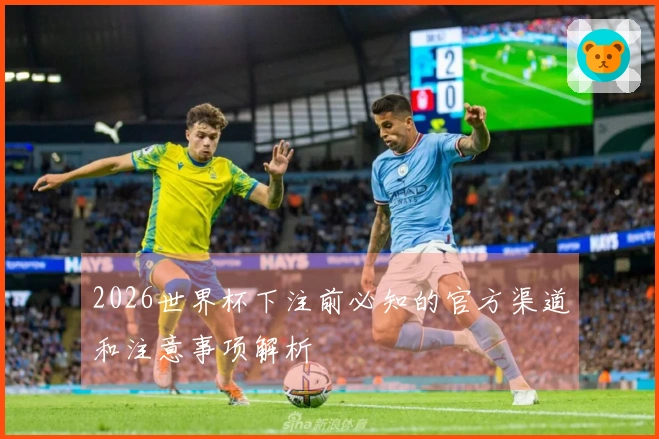 2026世界杯下注前必知的官方渠道和注意事项解析