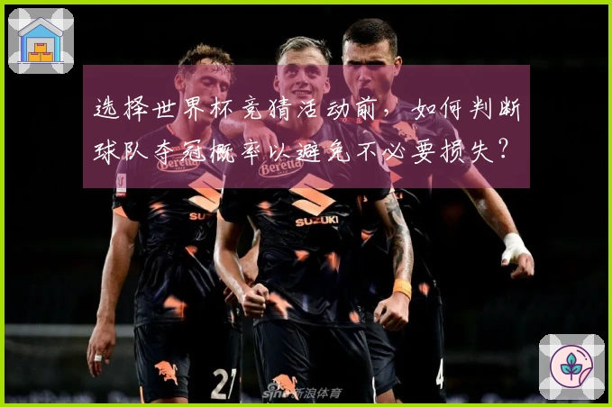选择世界杯竞猜活动前，如何判断球队夺冠概率以避免不必要损失？
