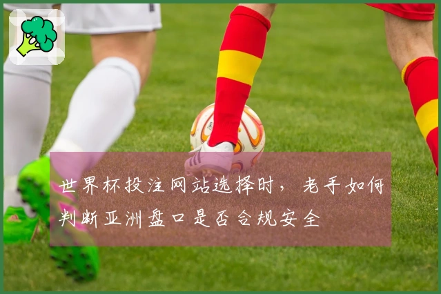 世界杯投注网站选择时，老手如何判断亚洲盘口是否合规安全