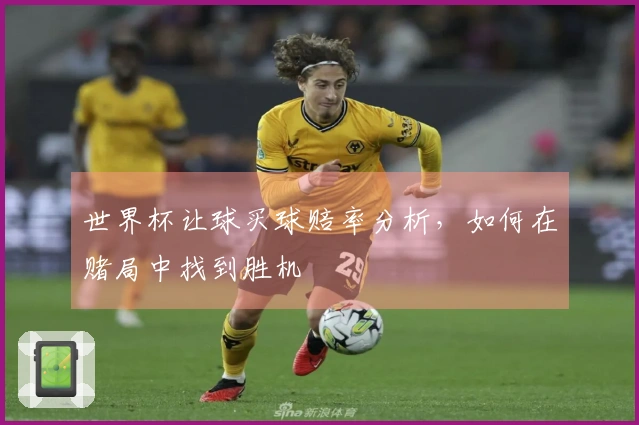 世界杯让球买球赔率分析，如何在赌局中找到胜机
