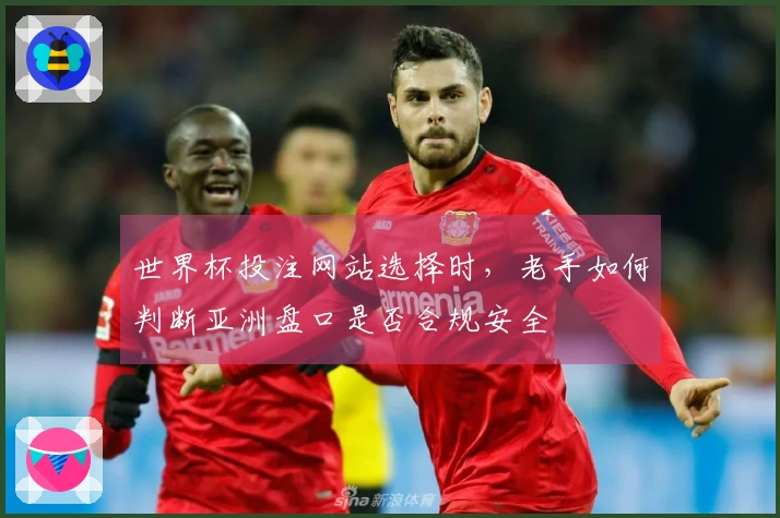 世界杯投注网站选择时，老手如何判断亚洲盘口是否合规安全